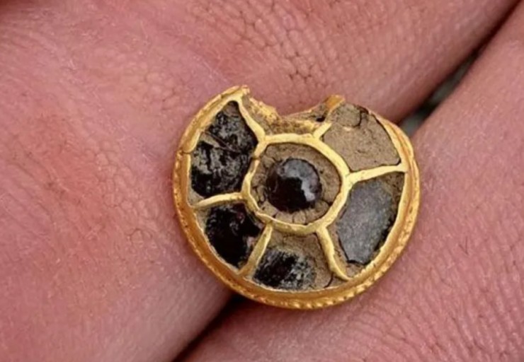 A detectorist has discovered a rare golden pin from the scabbard of an Anglo-Saxon warrior's sword